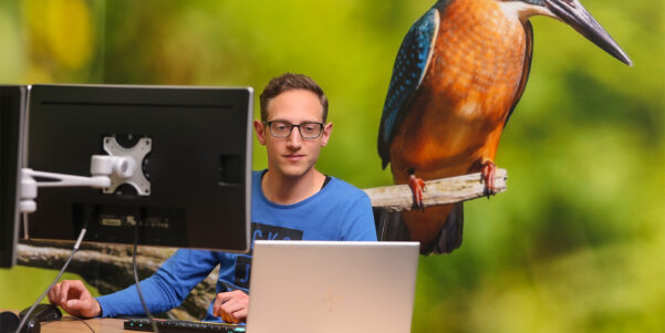 Custom Tiles - app for Business Central